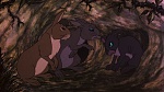 Watership Down picture