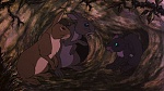 Watership Down picture