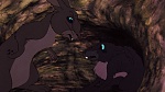 Watership Down picture