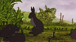 Watership Down picture