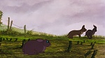 Watership Down picture