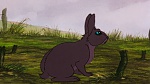 Watership Down picture