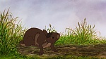 Watership Down picture