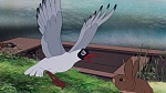 Watership Down picture