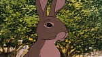 Watership Down picture