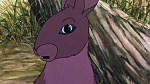 Watership Down picture
