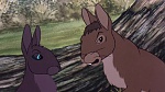 Watership Down picture