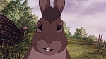 Watership Down picture