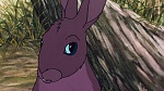 Watership Down picture
