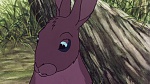 Watership Down picture
