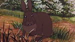 Watership Down picture