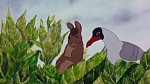 Watership Down picture