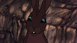 Watership Down picture