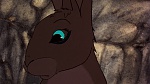 Watership Down picture
