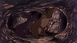 Watership Down picture