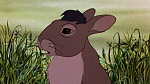 Watership Down picture