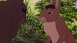 Watership Down picture