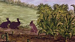Watership Down picture