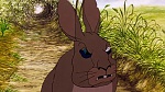 Watership Down picture