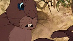Watership Down picture