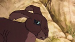 Watership Down picture