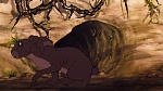 Watership Down picture