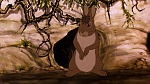 Watership Down picture