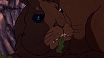 Watership Down picture