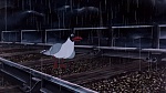 Watership Down picture