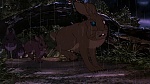 Watership Down picture
