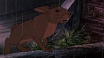 Watership Down picture