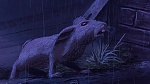 Watership Down picture