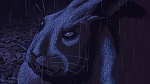 Watership Down picture
