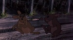 Watership Down picture