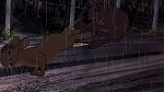 Watership Down picture