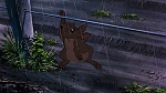 Watership Down picture