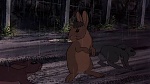 Watership Down picture