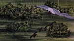 Watership Down picture
