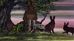 Watership Down picture