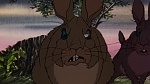 Watership Down picture