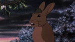Watership Down picture