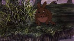 Watership Down picture