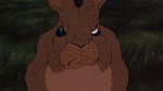 Watership Down picture
