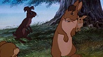 Watership Down picture