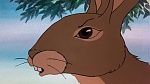 Watership Down picture