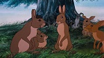 Watership Down picture