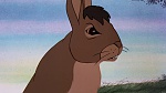 Watership Down picture