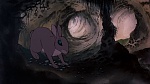 Watership Down picture