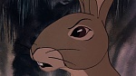 Watership Down picture