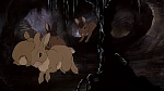 Watership Down picture